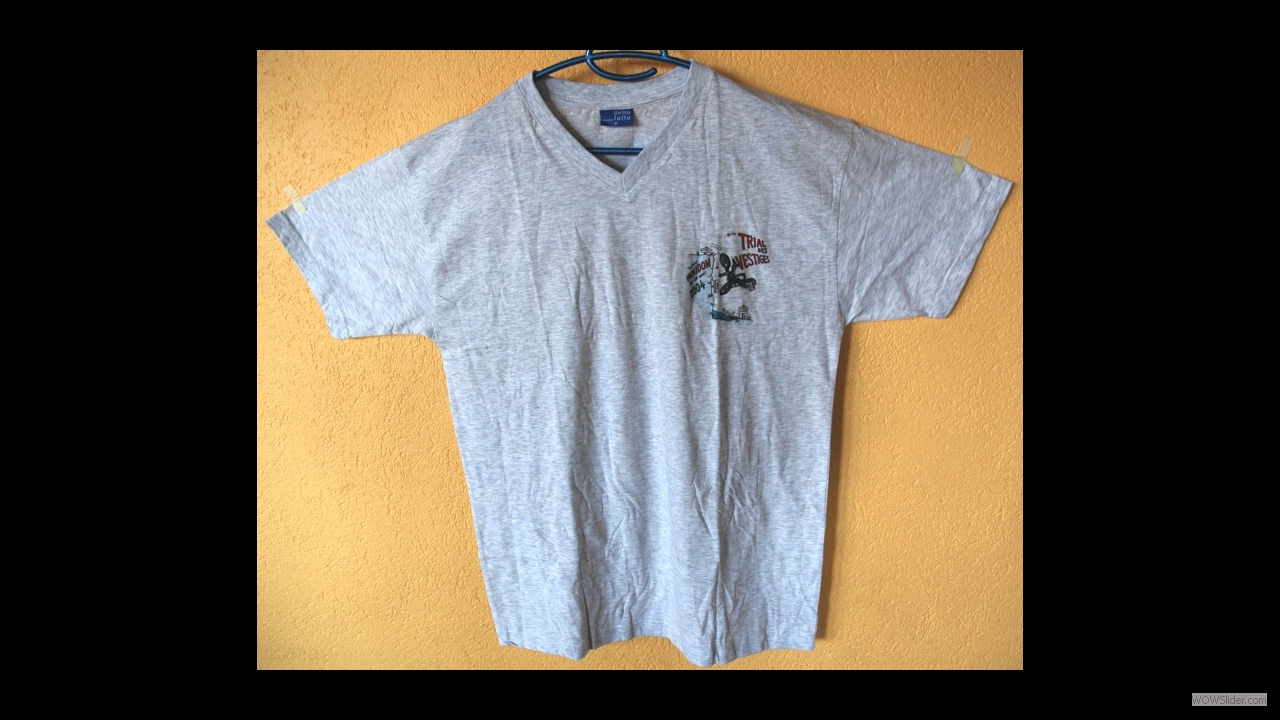 2004_t-shirt_Vestiges