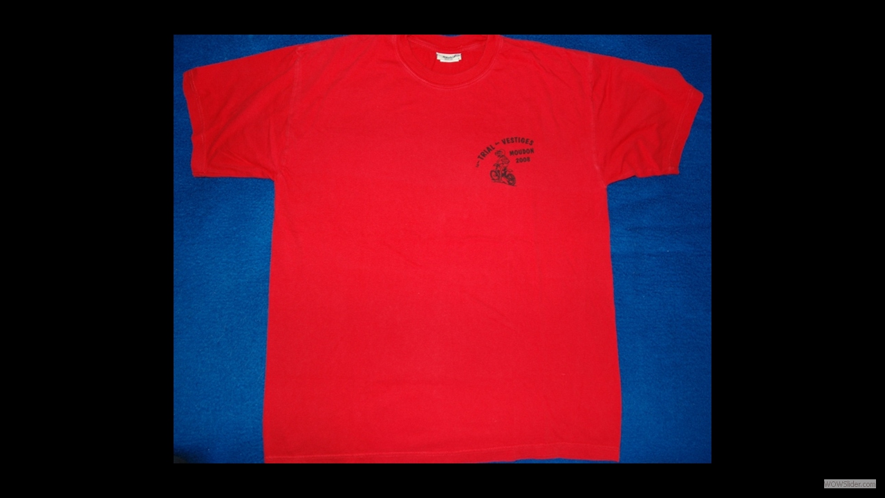 2008_t-shirt_Vestiges