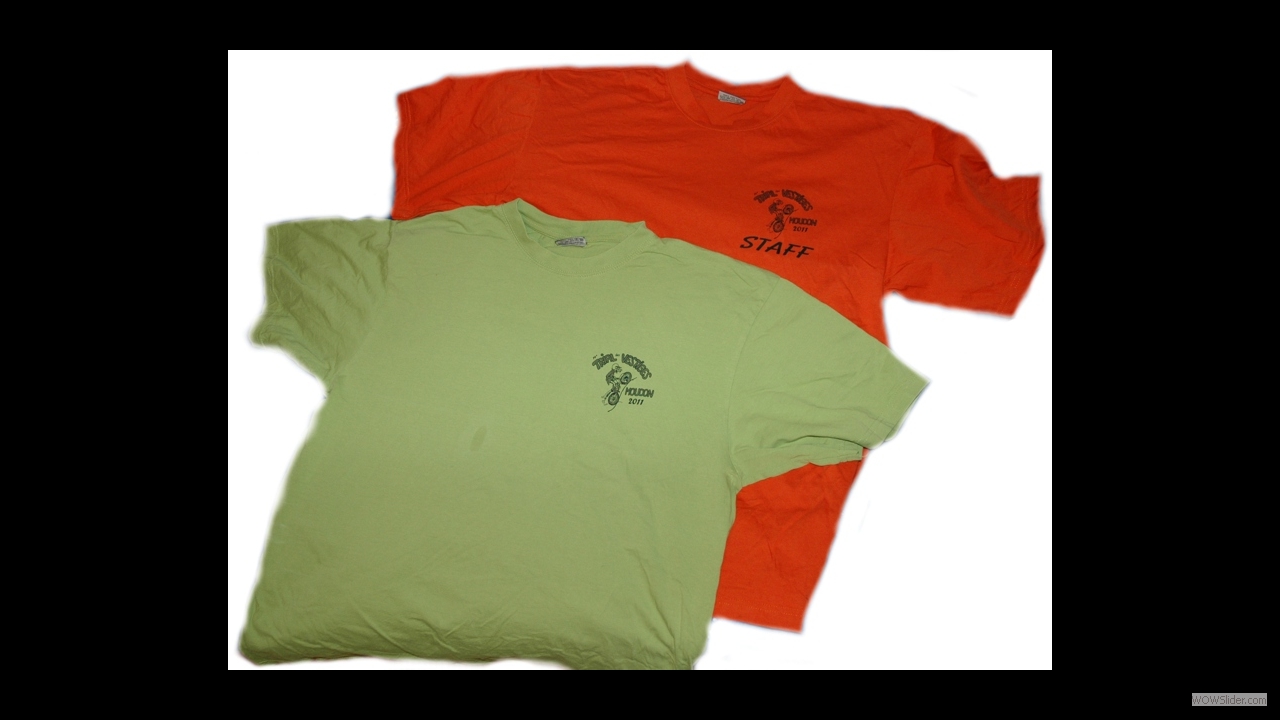 2011_t-shirt_Vestiges