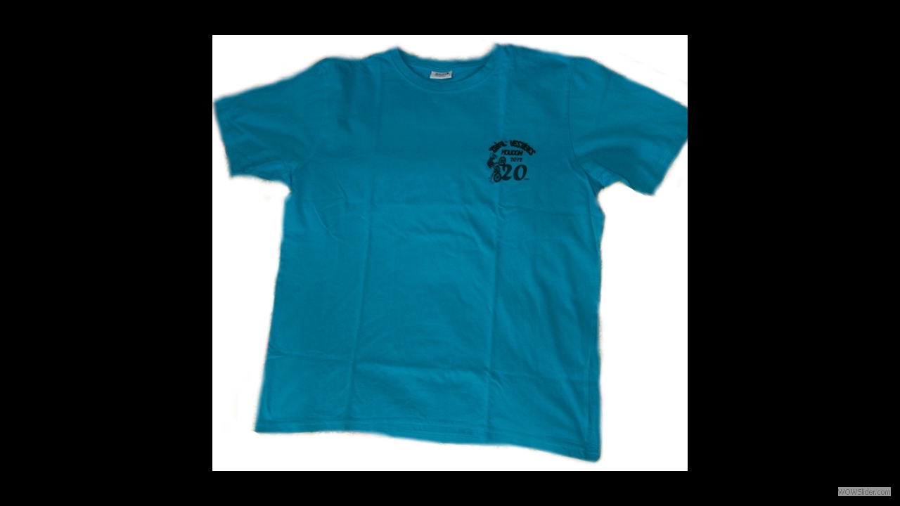 2012_t-shirt_Vestiges