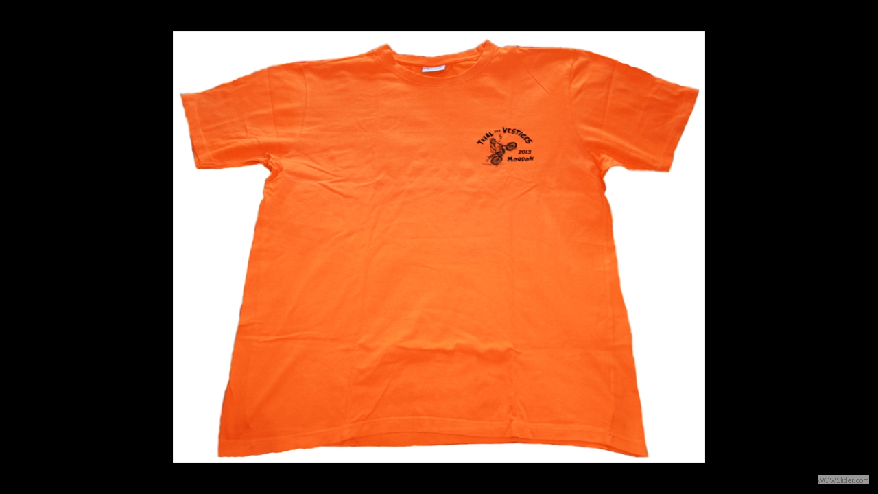 2013_t-shirt_Vestiges