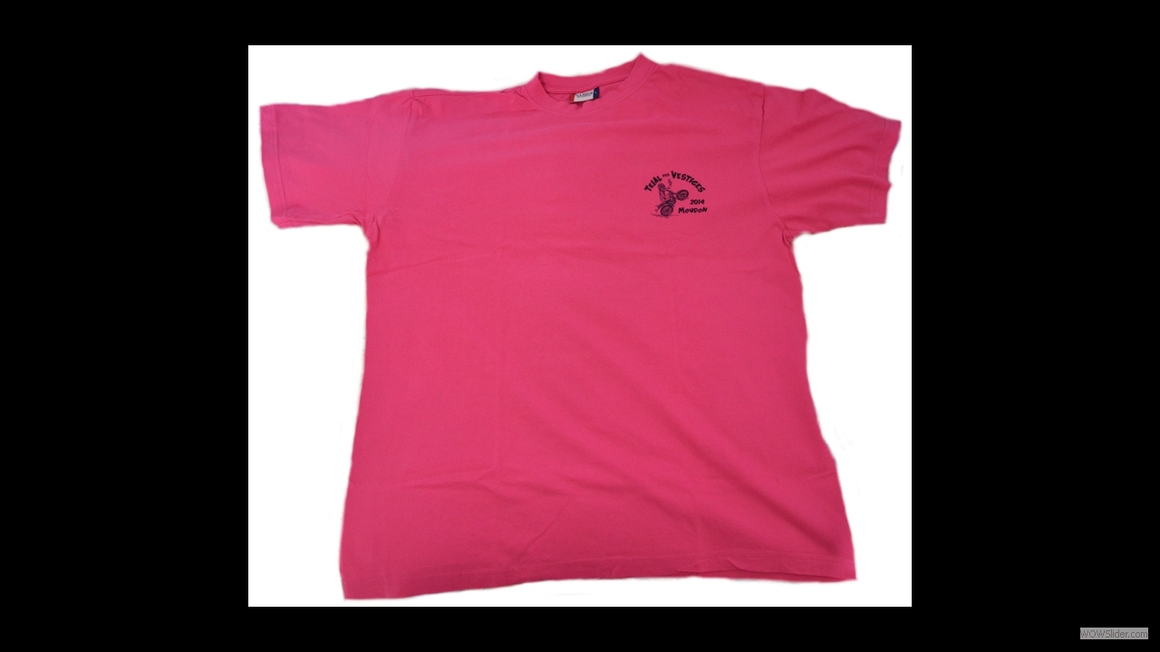 2014_t-shirt_Vestiges