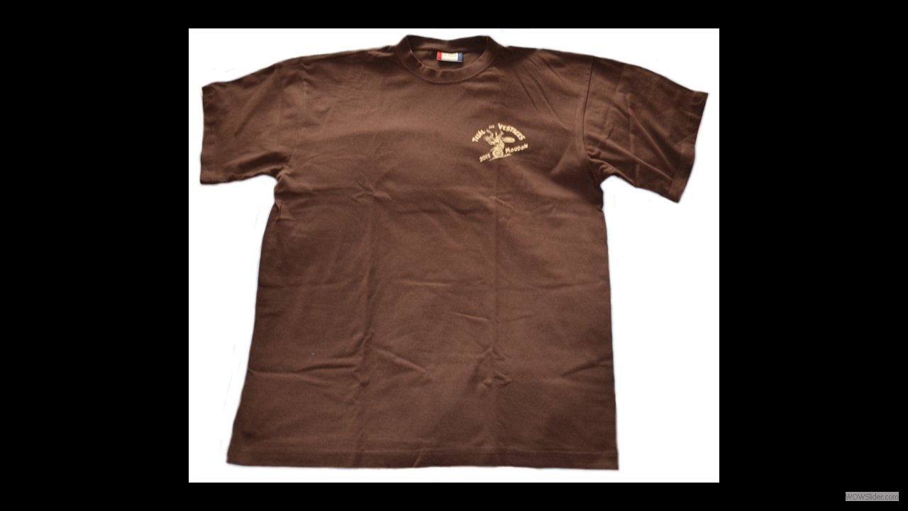 2015_t-shirt_Vestiges