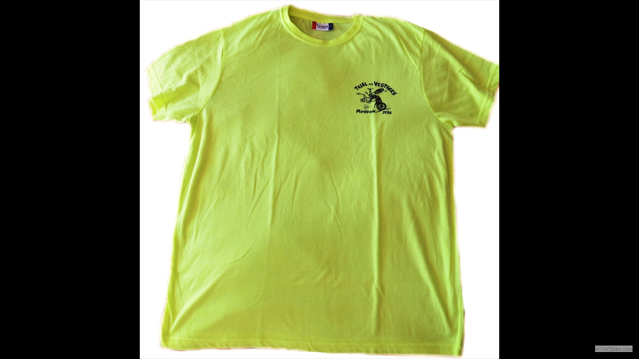 2016_t-shirt_Vestiges