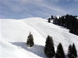 18 f&eacute;vrier 2012 : sortie neige organis&eacute;e par les 2 Br-iy-an &agrave; Charmey