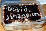 vite une photo avant d'entamer le dessert !